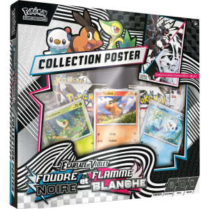Coffret Poster EV10.5 Noir&Blanc Pokeseller14